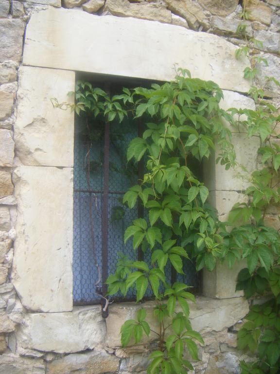Maison D'Hotes Mas De La Chadenede Lagorce  Exterior foto