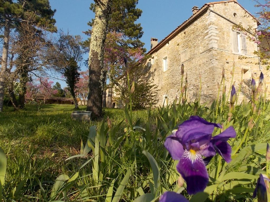 Maison D'Hotes Mas De La Chadenede Lagorce  Exterior foto